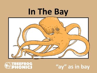 ay In the Bay phonics ebook