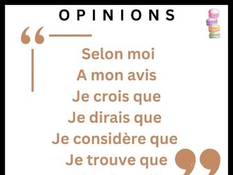 French opinion phrases  - Display