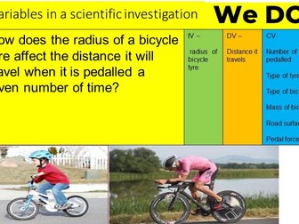 Variables in a scientific investigation