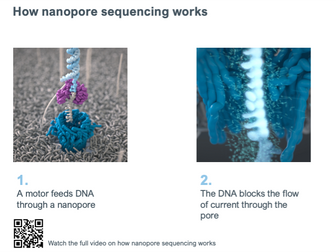 How nanopore sequencing works - image version