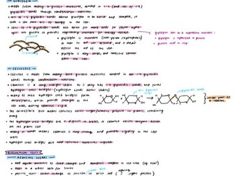 AQA A Level Biology A* Notes Topic 1 Biological Molecules