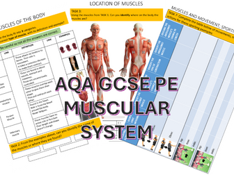 AQA GCSE PE Muscular System Workbook