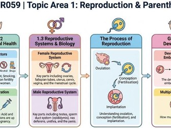 Revision Cards Child Development TA1