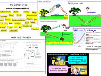 Carbon Cycle