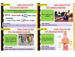 AQA new specification-B9 Respiration-Complete bundle
