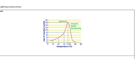 Factors affecting enzyme activity | Teaching Resources
