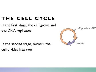 Mitosis Full Lesson