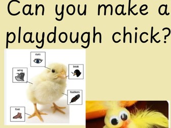 Chick Provision Posters.