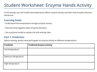 Enzyme Hands Activity