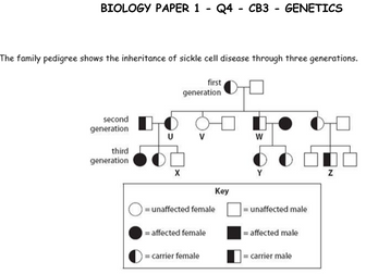 9-1 GCSE COMBINED SCIENCE PAPER 1 BIOLOGY - 6 MARKERS WITH WAGOLL (smartboard notebook file)