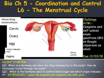 AQA Trilogy B5 - Menstrual Cycle