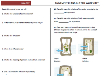 Movement in and out of cell worksheet