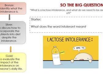 Year 8 Lesson- Intolerances