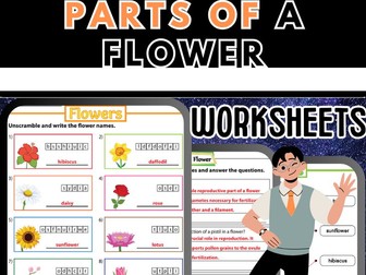 Parts of a Flower Worksheets