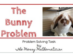 Problem Solving Task_The Bunny Problem_Area/Perimeter/Arrays