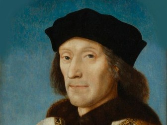 How important were Henry VII's reforms?