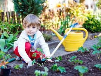 Lesson Plan Nursery (Garden)
