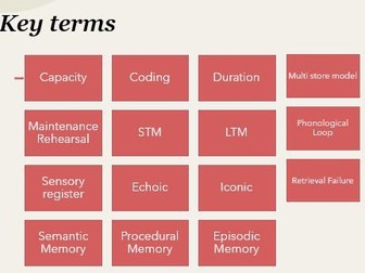 Memory Revision