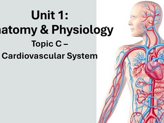 CTECH Level 3 Unit 1 CV System