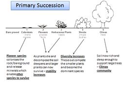 6.3.1 Ecosystems OCR A level Biology (7-8 lessons) | Teaching Resources