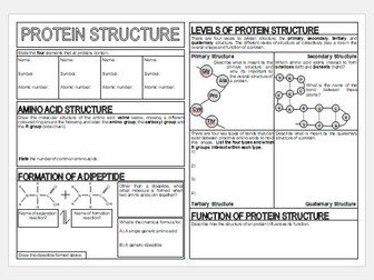 Protein structure revision sheet