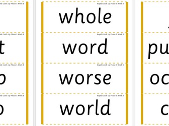 Rapid Catch Up Phase 5 Week 8 (Supports Little Wandle)