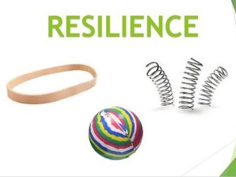 Resilience Assembly Secondary