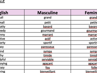 GCSE FRENCH ADJECTIVES