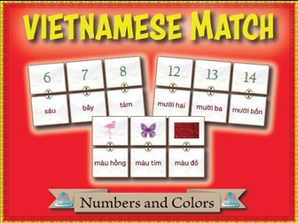 Vietnamese Match - Numbers and Colors