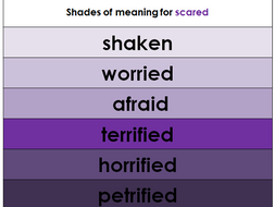 shades of meaning display