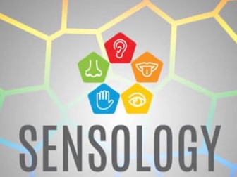 Sensology in Spring