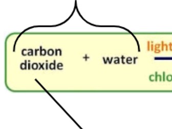 Photosynthesis- Word Equation