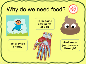 Food groups & nutrients - KS3 Low Ability
