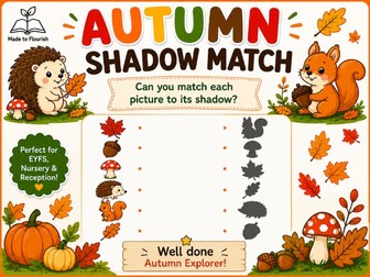 Autumn Shadow Match Worksheet EYFS