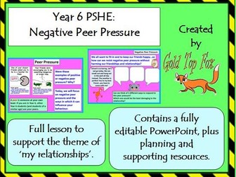 Year 6 PSHE & Citizenship Lesson - Negative Peer Pressure