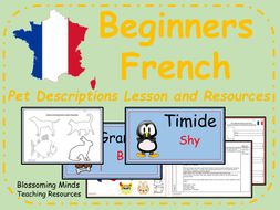 French lesson and resources - KS2 - Pet descriptions