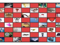 Phonics R Controlled Vowels ar-or-er-ir-ur Photo Checkerboard Game