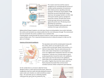 Male and Female Reproductive Systems