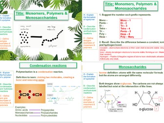 AQA A Level Biology AS Level - Monomers, Polymers and Monosaccharides ​