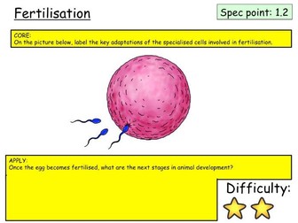 Edexcel (9-1) topic 1 (Key concepts in Biology) revision cards