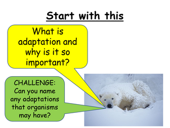 AQA GCSE Science Ecology: Adaptations