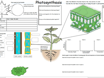 Bioenergetics revision poster
