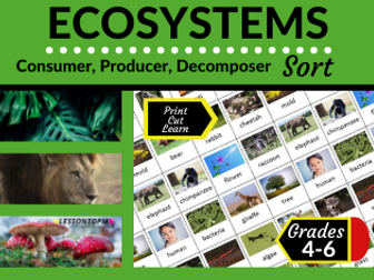 Producer Consumer Decomposer | Ecosystems | Card Sort