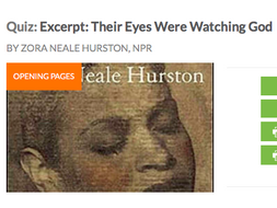 Their Eyes Were Watching God: Teaching & HW Resources: Chapter 1 Vocab List & Comprehension Quiz