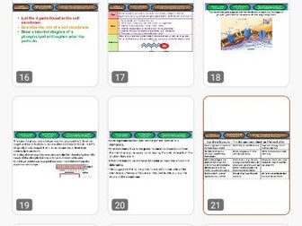 Level 3 BTEC Applied Science Unit 5 Biology Transport Mechanisms