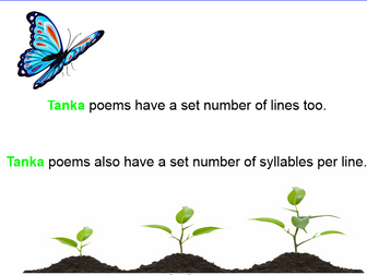 KS2 - English - Tanka Poems - Lesson 1
