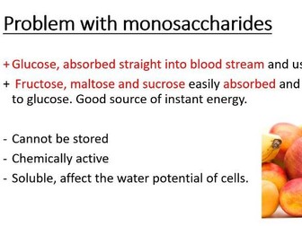 IAL Biology Lesson 2 Polysaccharides