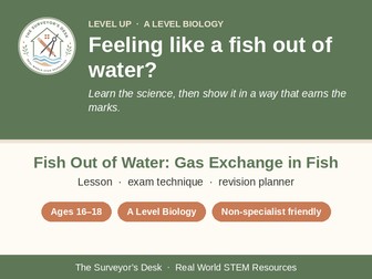 Gas Exchange in Fish Gills | Counter-Current Flow Biology Lesson and Exam Practice