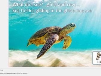 Summer Tropical Sensory Story