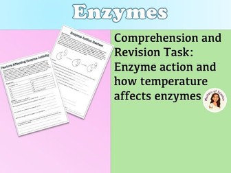 Enzyme action and factors affecting enzyme worksheet